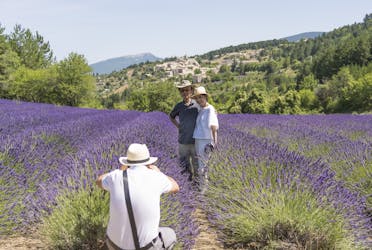 Tour de tarde por los campos de lavanda desde Aix en Provence